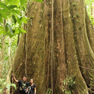 2016 - Corcovado National Park (Costa Rica)