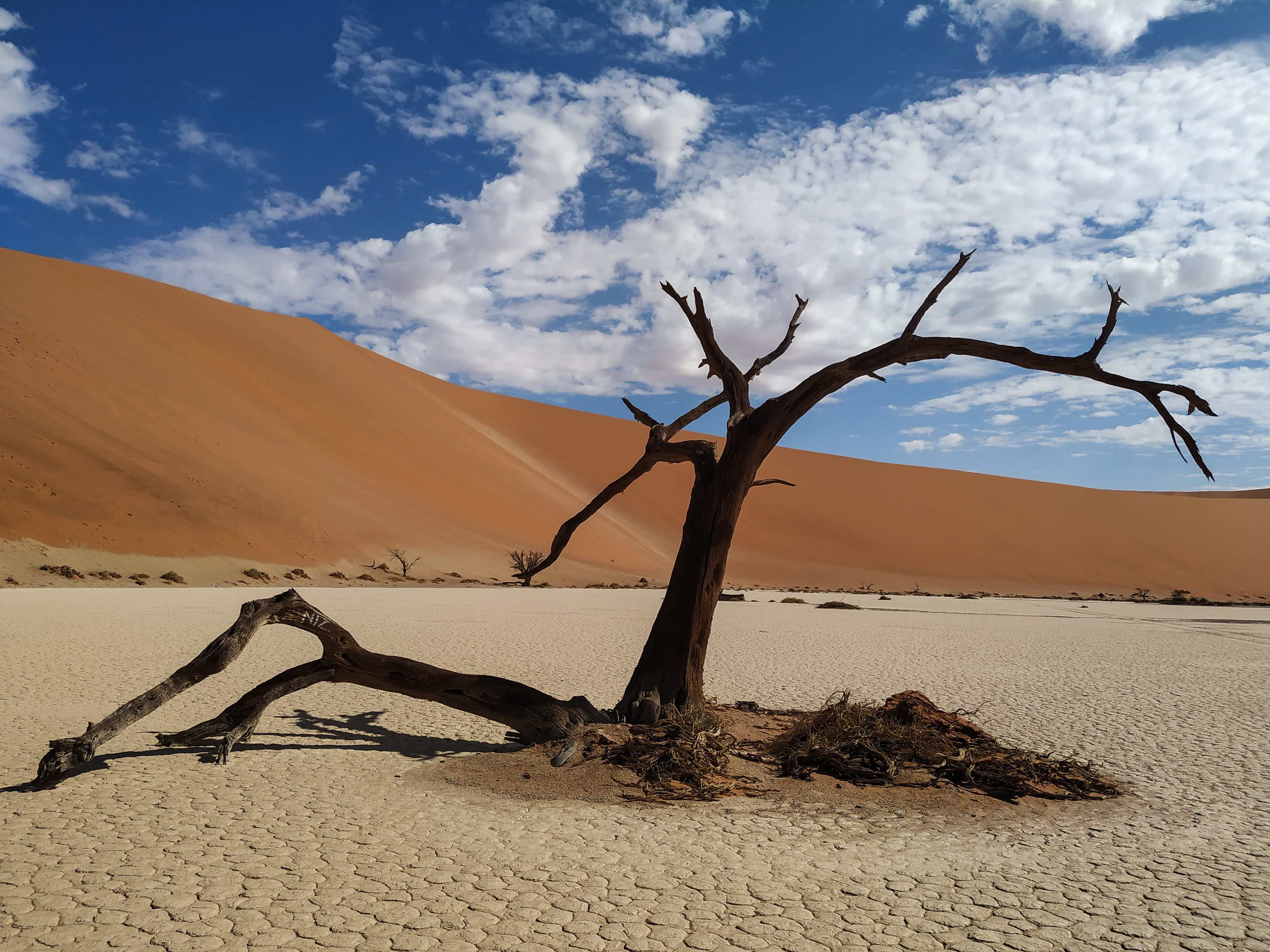 Namibia Mario Mairal