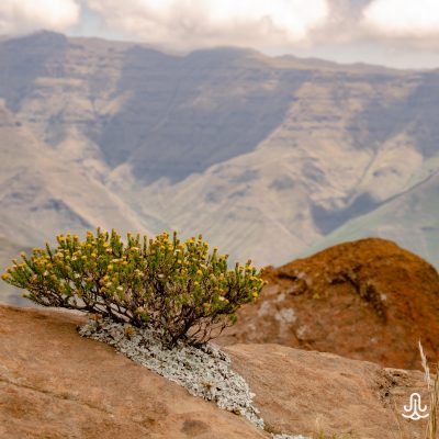 Drakensberg hike