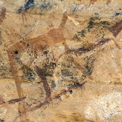 Rock paintings Lesotho