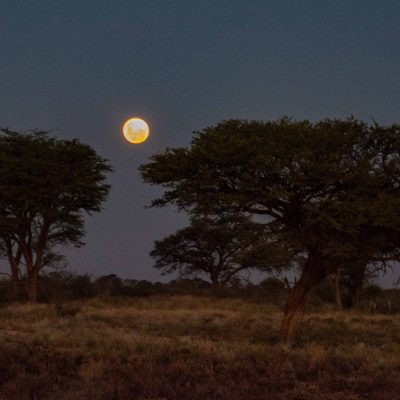 Kalahari moon