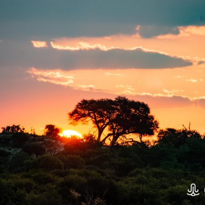 sunset Chobe