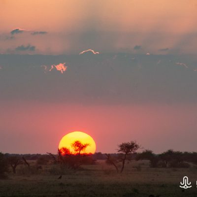 sunset Chobe
