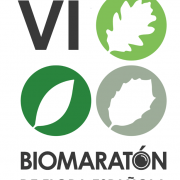 Logo VI SEBOT compacto fondo blanco