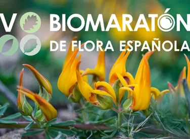 biomaraton